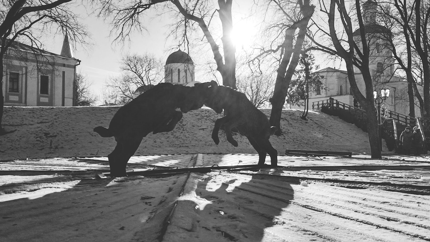 IMG_20220119_125006.jpg (431 KB)